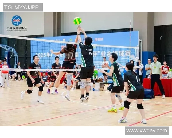 广州排球队总决赛精彩回顾与节奏表现分析