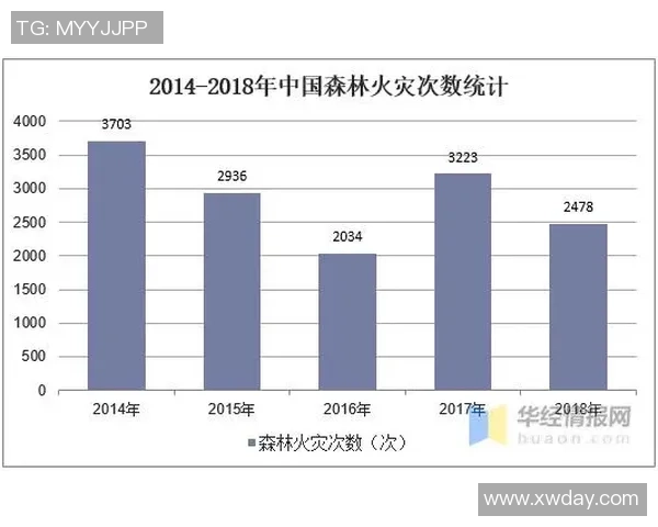 探索fftp足球的魅力与未来发展趋势分析